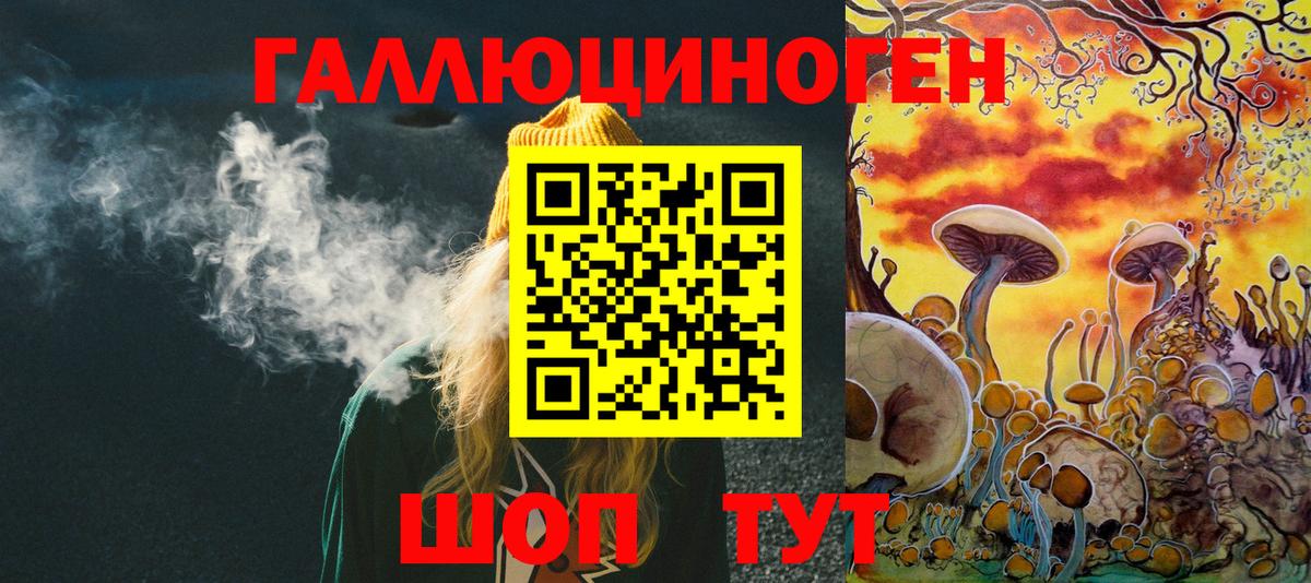 Галлюциногенные грибы Cubensis  Вход с VPN  Северобайкальск 